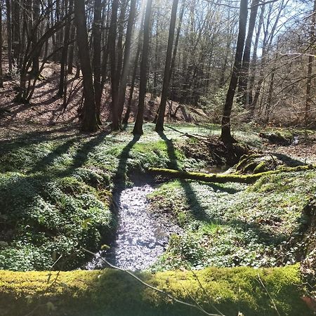 Wellness Ferienwohnung Biene Im Bergischen Land Much Esterno foto